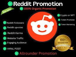 Boost Your Reddit Presence with High-Karma Reddit Accounts